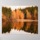 Search for fall tree art Scenery