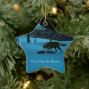 Search for mountains star ornaments Alaska