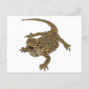 Search for bearded postcards Beardie
