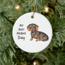 Search for weiner dog ornaments Dachshund