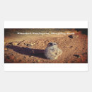 Recherche de mongole autocollants Photographie