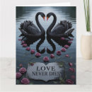 Search for black swan cards Reflection