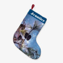 Recherche de pins chaussette de noël Sapin