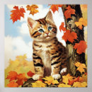 Search for friend baby posters Kitten