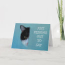 Search for black cat get well cards Funny