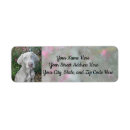 Search for flower photo return address labels Flowers