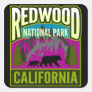 Search for redwood forest stickers California
