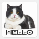 Search for cute white cat stickers Kitty