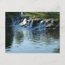 Recherche de de cascade cartes postales Vert