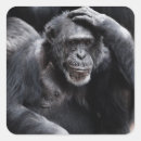 Search for chimpanzee stickers Gorilla