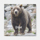 Search for kodiak magnets Nature