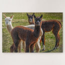 Search for alpaca puzzles Farm