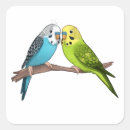 Search for budgie stickers Cute