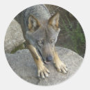 Search for wolf image stickers Grey