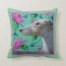 Search for greyhound pillows Modern