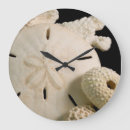 Recherche de dollar horloges Corail