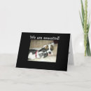 Search for argued cards Photography