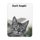 Search for surprised magnets Cute