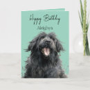 Search for newfoundland birthday cards Cute