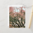 Recherche de se givrer cartes postales Aquarelle