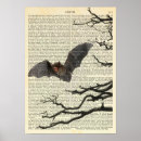 Recherche de chauve souris posters Dracula