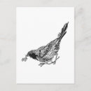Search for zen doodle postcards Bird