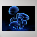 Search for fluorescent posters Blue