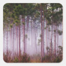 Search for everglades stickers Usa