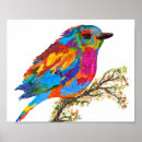 Recherche de oiseaux colorés posters Amoureux des oiseaux