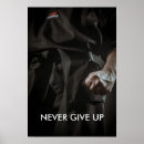 Search for taekwondo posters Belt