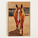 Recherche de horse planners Ferme
