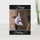 Search for nuthatches cards Friend