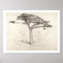 Recherche de vieil arbre posters Vieux