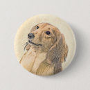 Search for dachshund long haired buttons Doxie