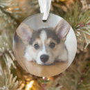 Recherche de pembroke welsh corgi ornaments Canine