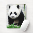 Search for province mousepads East asia