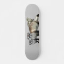 Recherche de maman skateboards Animal