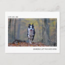 Search for wisdom words postcards Graduate