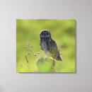 Recherche de owl painting canvas prints Hibou