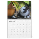 Search for bunny rabbit calendars Hares