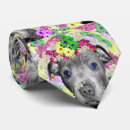Recherche de bull terrier cravates Dog