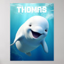 Recherche de baleine beluga posters Baleines