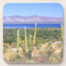 Search for baja coasters Travel