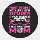 Search for breast cancer hero stickers Survivor