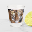 Search for tiger barware Photograph