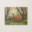 Search for whitetail deer puzzles Wildlife