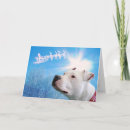 Search for pitbull christmas cards Santa