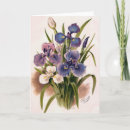 Search for lithographic cards Botanical