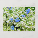 Recherche de mothers day Flowers