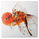 Search for spotted tiles Orange